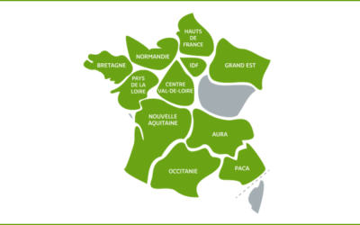 Zoom sur l’écosystème régional de la SBA